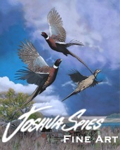 Joshua Spies Fine Art